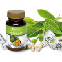 Garcivit 70 Cápsulas Vital 2000