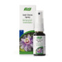 Spray Anti Estresse 10 Ml.