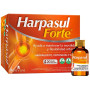 Harpasul Forte 20 Frascos Natysal