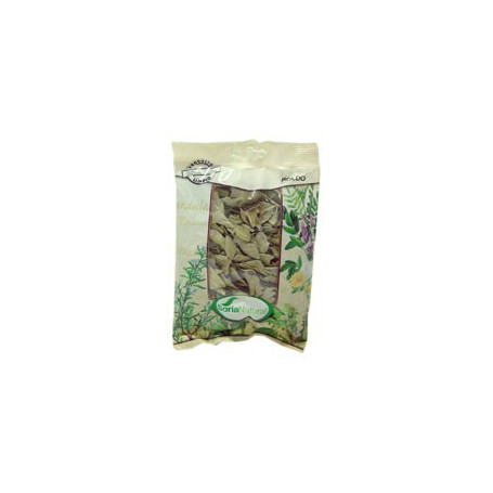 Boldo Bag 40Gr. Soria Natural