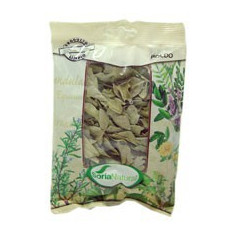 Boldo Bag 40Gr. Soria Natural