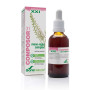 Composor 31 XXI Meno-Regul Complex 50Ml. Soria Natural