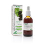 Extrato de Black Currant Formula XXI 50Ml. Soria Natural