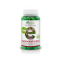 Echinacea Green BIO 80 Cápsulas Soria Natural