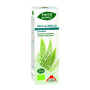 Phyto-Biopole Bio Horsetail 50Ml. Interesse