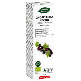 Phyto-Biopole Black Currant Bio 50Ml. Interesse