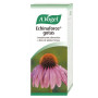 Echinaforce Gotas Vogel 50Ml.