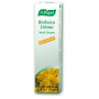 Creme 7 Ervas Vogel 35Gr.