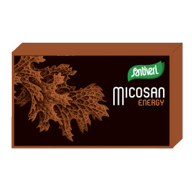 Micosan Energy 40 cápsulas Santiveri