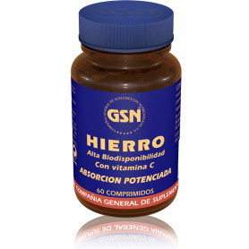 Ferro 60 comprimidos GSN