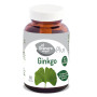Ginkgo Biloba The Barn