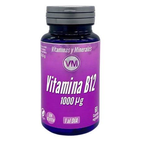 Vitamina B12 Nova Fórmula 60 Cápsulas Vegetais Ynsadiet
