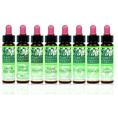 Remedy 6 Auto-estima 10Ml. Plantis