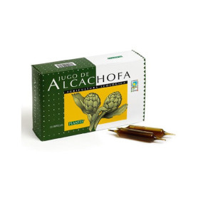 Alcachofra 20 Frascos Plantis