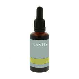 Extrato de Ginkgo Biloba 50Ml. Plantis