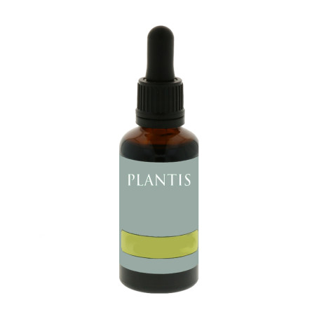 Extrato de Ginkgo Biloba 50Ml. Plantis