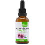 Extrato de Echinacea ECO S / A 50Ml. Plantis
