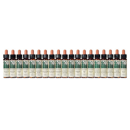 FLORAL ELIXIR 32 VID 10Ml. PLANTIS