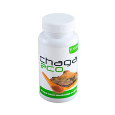 Chaga Eco 45 Capsules Plantis