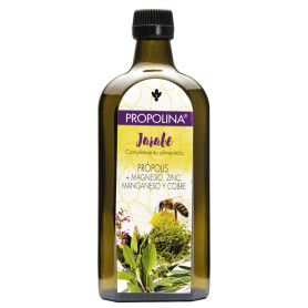 Propolina 500Ml. Artesanato agrícola
