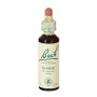 Flores de Bach Gorse (Aulaga) 20Ml. Bach