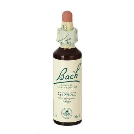 Flores de Bach Gorse (Aulaga) 20Ml. Bach