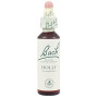 Bach Holly Flowers (Holly) 20Ml. Bach
