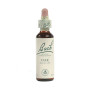 Flores de Bach OAK (Carvalho) 20Ml. Bach