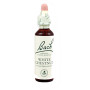 Flores de Bach Castanha Branca (Castanha Branca) 20Ml. Bach
