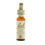 Flores de Bach Castanha Branca (Castanha Branca) 20Ml. Bach