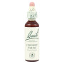 Bach Cherry Plum Flowers (Cerasifera) 20Ml. Bach