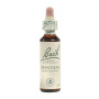 Flores de Bach Impatiens (Impaciência) 20Ml. Bach
