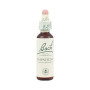 Flores de Bach Impatiens (Impaciência) 20Ml. Bach