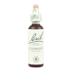 Flores de Bach Clematis (Clematis) 20Ml. Bach