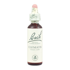 Flores de Bach Clematis (Clematis) 20Ml. Bach