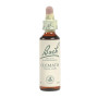 Flores de Bach Clematis (Clematis) 20Ml. Bach