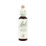 Flores Bach Vervain (Verbena) 20Ml. Bach