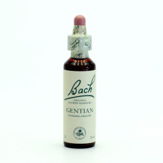 Flores de genciana de Bach (genciana) 20Ml. Bach