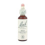 Flores de castanha vermelha de Bach (castanha vermelha) 20Ml. Bach
