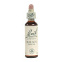 Flores de Nogueira de Bach (Nogal) 20Ml. Bach