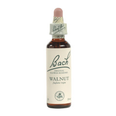 Flores de Nogueira de Bach (Nogal) 20Ml. Bach