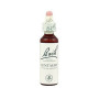Flores Centaury de Bach (Centaura Minor) 20Ml. Bach