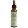 Flores de Bach Aspen (Aspen) 20Ml. Bach