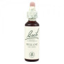 Flores de Salgueiro de Bach (Salgueiro) 20Ml. Bach