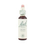 Bach Olive Flowers (Olive) 20Ml. Bach