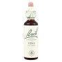 Flores da videira de Bach (videira) 20Ml. Bach
