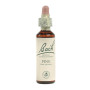 Flores de pinheiro de Bach (pinheiro silvestre) 20Ml. Bach
