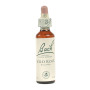 Flores de Rosa Silvestre de Bach (Rosa Silvestre) 20Ml. Bach