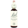 Flores de Rosa Silvestre de Bach (Rosa Silvestre) 20Ml. Bach