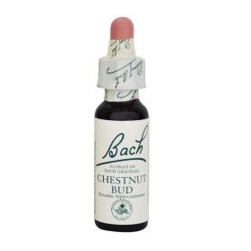 Bach Chestnut Bud Flowers (Chestnut) 20Ml. Bach